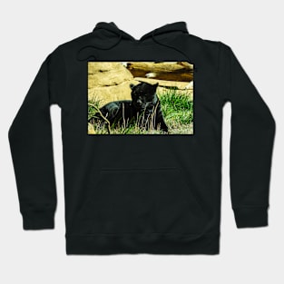 Black Panther Hoodie